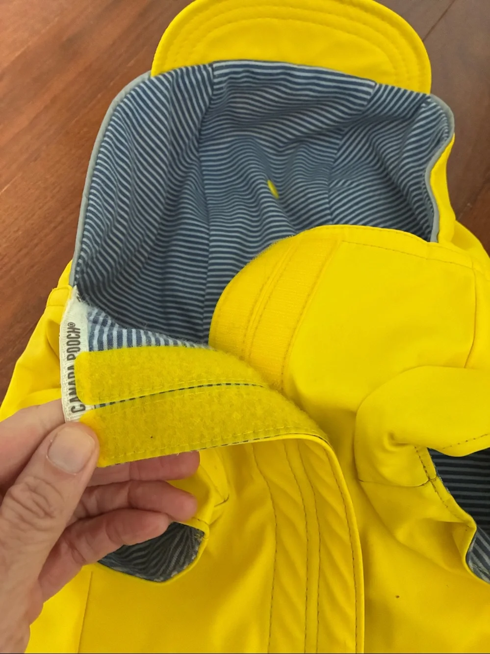 Doggy rain jacket